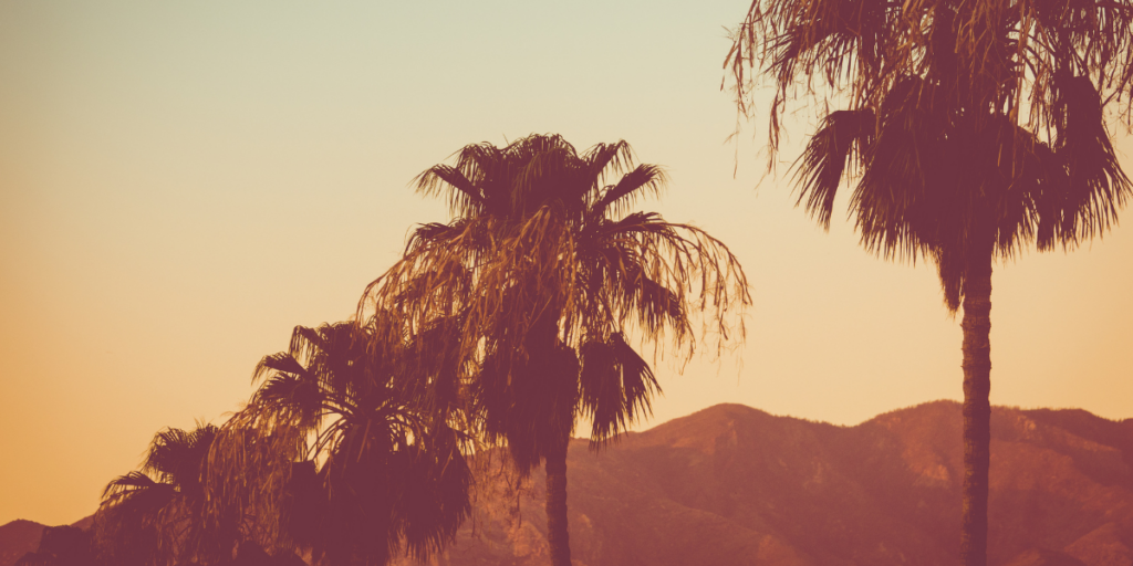 Weed Near Coachella 2024