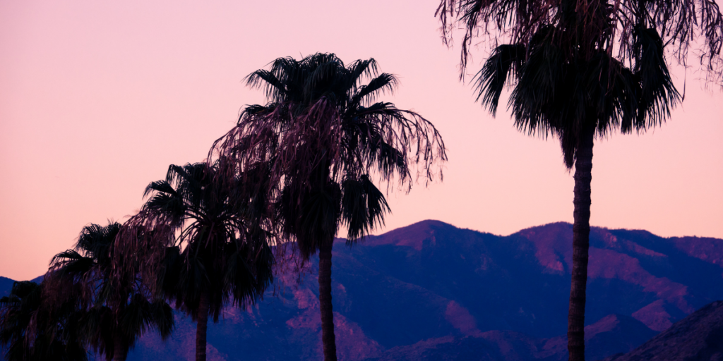 Weed near stagecoach 2024